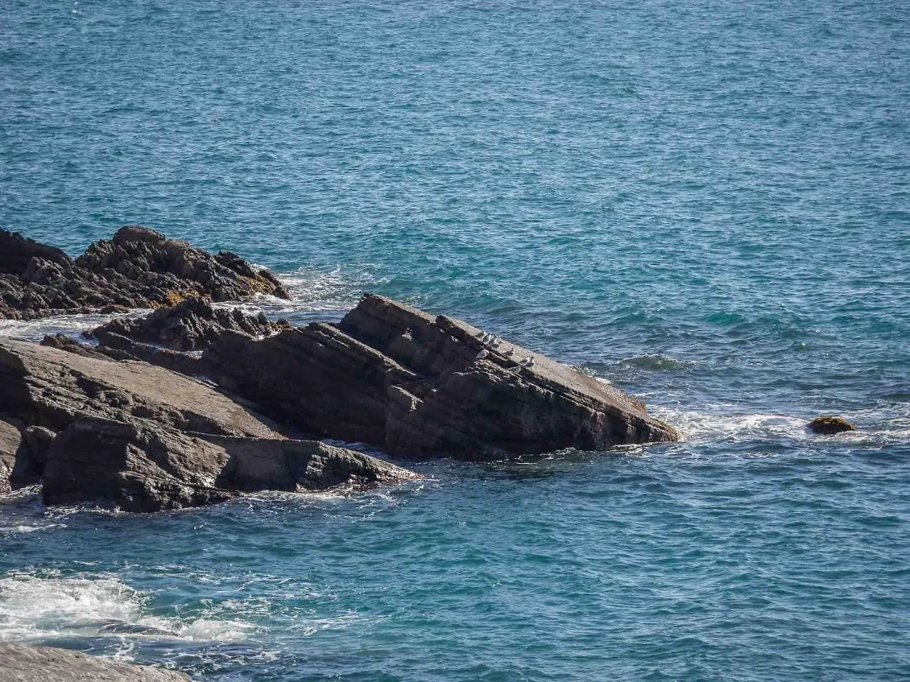 Unda De Ma Sea View Terrace Apartment Vernazza Italy